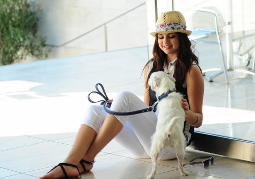 Cute Actress Selena Gomez HD Wallpaper